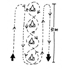 Circuito de agilidad Illinois