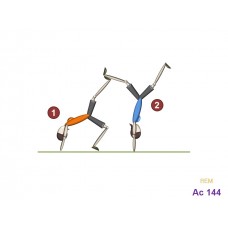 Ac144 - Parejas