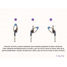 F-Tsi 010 - Fuerza tren superior e inferior