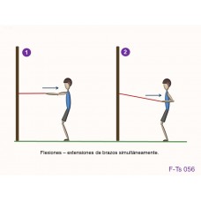 F-Ts 056 - Fuerza tren superior