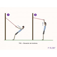 F-Ts 087 - Fuerza tren superior