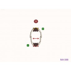 MA088 - Ejercicio pasivo