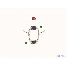 MA089 - Ejercicio pasivo