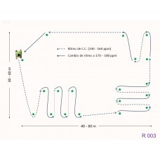 R003 - Ejercicio resistencia aeróbica