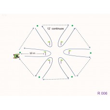 R006 - Ejercicio resistencia aeróbica