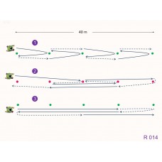 R014 - Ejercicio resistencia aeróbica