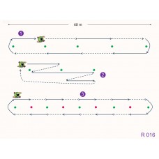 R016 - Ejercicio resistencia aeróbica