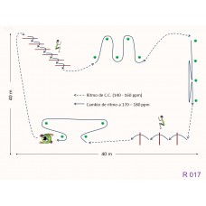 R017 - Ejercicio resistencia aeróbica