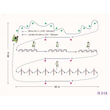 R018 - Ejercicio resistencia aeróbica