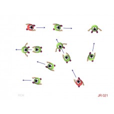 JR021 -  Juegos de resistencia