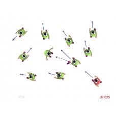 JR026 - Juegos de resistencia