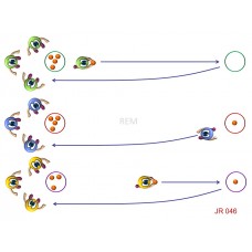 JR046 - Juegos de resistencia