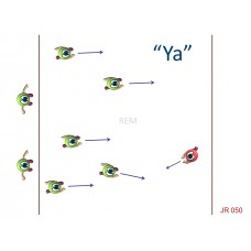 JR050 - Juegos de resistencia