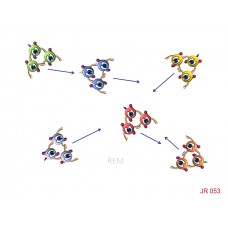 JR053 - Juegos de resistencia