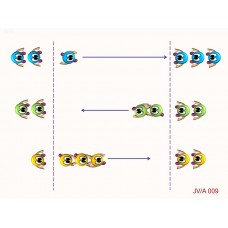 JVA009 - Juegos velocidad - agilidad