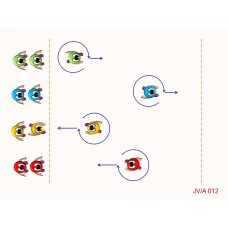 JVA012 - Juegos velocidad - agilidad