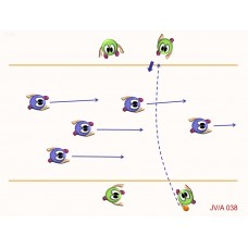 JVA038 - Juegos velocidad - agilidad