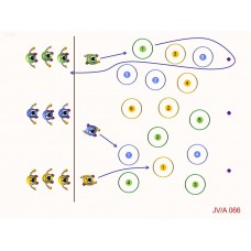 JVA066 -  Juegos de velocidad - agilidad