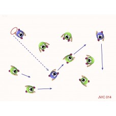 JVC014 - Juegos de coordinación