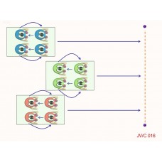 JVC016 - Juegos de coordinación