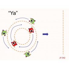 JV042 - Juegos de velocidad