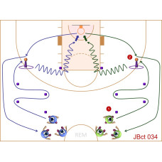 JBct034 - Juegos de baloncesto