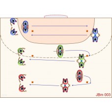 JBm003 - Juegos de balonmano