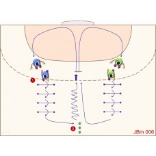 JBm006 - Juegos de balonmano