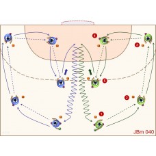 JBm040 - Juegos de balonmano