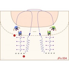 JFs004 - Juegos de fútbol - sala