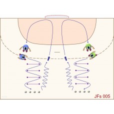 JFs005 - Juegos de fútbol - sala