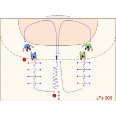 JFs006 - Juegos de fútbol - sala