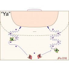 JFs016 - Juegos de fútbol - sala