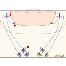 JFs028 - Juegos de fútbol - sala