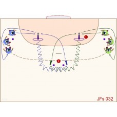 JFs032 - Juegos de fútbol - sala