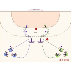 JFs033 - Juegos de fútbol - sala