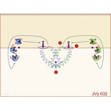 JVy032 - Juegos de voley