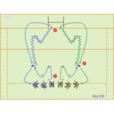 Rby39 -  Cambio de ritmo y dirección