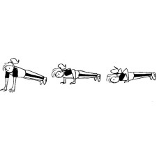 Push ups (flexiones)