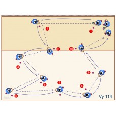 Vy114 - Pase de antebrazos