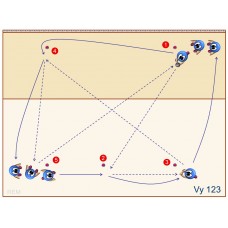 Vy123 - Pase de antebrazos